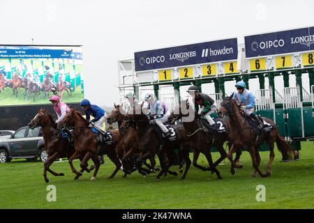 Ascot, Berkshire, Royaume-Uni. 30th septembre 2022. Cavaliers dans le Peroni Nastro Azzurro Noel Murless enjeux à l'hippodrome d'Ascot. Crédit : Maureen McLean/Alay Live News Banque D'Images