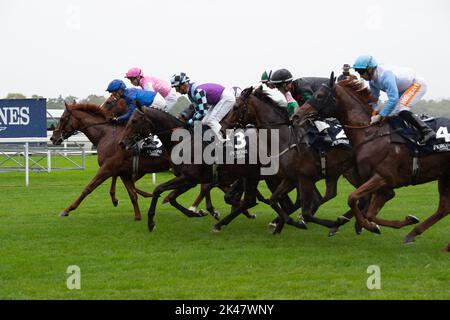 Ascot, Berkshire, Royaume-Uni. 30th septembre 2022. Cavaliers dans le Peroni Nastro Azzurro Noel Murless enjeux à l'hippodrome d'Ascot. Crédit : Maureen McLean/Alay Live News Banque D'Images