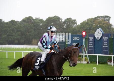 Ascot, Berkshire, Royaume-Uni. 30th septembre 2022. Le cheval El Habeeb est monté par le jockey Andrea Atzeni avant de gagner les piquets Peroni Nastro Azzurro Noel Murless à l'hippodrome d'Ascot, battant le cheval Giavellotto monté par le jockey Neil Callan. Propriétaire Mohamed Khalid Abdulrahim. Formateur Kevin Philippart de Foy, Newmarket. Sélectionneur Khalid Abdul Rahim. Crédit : Maureen McLean/Alay Live News Banque D'Images