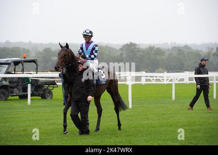 Ascot, Berkshire, Royaume-Uni. 30th septembre 2022. Le cheval El Habeeb est monté par le jockey Andrea Atzeni avant de gagner les piquets Peroni Nastro Azzurro Noel Murless à l'hippodrome d'Ascot, battant le cheval Giavellotto monté par le jockey Neil Callan. Propriétaire Mohamed Khalid Abdulrahim. Formateur Kevin Philippart de Foy, Newmarket. Sélectionneur Khalid Abdul Rahim. Crédit : Maureen McLean/Alay Live News Banque D'Images