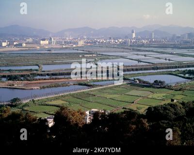 Ville de Shenzhen (en haut), Lok ma Chau 'boucle' et barrière de sécurité frontalière, vue depuis le poste de police de Lok ma Chau, Hong Kong, Chine 1992 la frontière entre Hong Kong et Shenzhen est formée par la ligne de la rivière au milieu de la photo. Banque D'Images