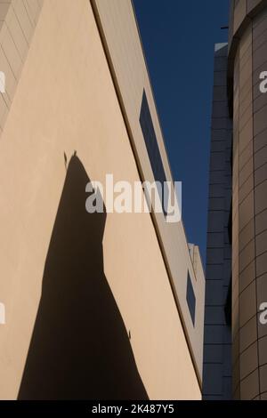 Photographie architecturale de deux grands bâtiments de ville crème avec fenêtres en verre, ombre et fond bleu ciel. Banque D'Images