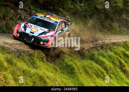 Auckland, Nouvelle-Zélande. 01st octobre 2022. 11 NEUVILLE Thierry (bel), WYDAEGHE Martijn (bel), Hyundai Shell MOBIS World Rally Team, Hyundai i20 N Rally 1, action lors du Rallye Nouvelle-Zélande 2022, 11th tour du Championnat du monde de voitures de rallye WRC 2022, de 29 septembre à 2 octobre 2022 à Auckland, Nouvelle-Zélande - photo Nikos Katikis / DPPI crédit: DPPI Media / Alay Live News Banque D'Images