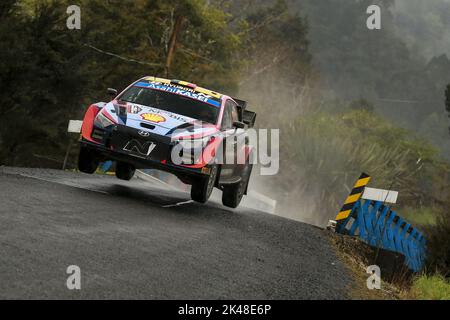 Auckland, Nouvelle-Zélande. 01st octobre 2022. 11 NEUVILLE Thierry (bel), WYDAEGHE Martijn (bel), Hyundai Shell MOBIS World Rally Team, Hyundai i20 N Rally 1, action lors du Rallye Nouvelle-Zélande 2022, 11th tour du Championnat du monde de rallye automobile WRC 2022, de 29 septembre à 2 octobre 2022 à Auckland, Nouvelle-Zélande - photo : Nikos Katikis/DPPI/LiveMedia crédit: Agence de photo indépendante/Alamy Live News Banque D'Images
