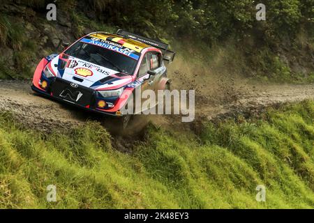 Auckland, Nouvelle-Zélande. 01st octobre 2022. 11 NEUVILLE Thierry (bel), WYDAEGHE Martijn (bel), Hyundai Shell MOBIS World Rally Team, Hyundai i20 N Rally 1, action lors du Rallye Nouvelle-Zélande 2022, 11th tour du Championnat du monde de rallye automobile WRC 2022, de 29 septembre à 2 octobre 2022 à Auckland, Nouvelle-Zélande - photo : Nikos Katikis/DPPI/LiveMedia crédit: Agence de photo indépendante/Alamy Live News Banque D'Images