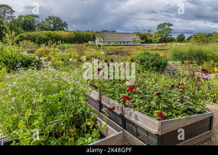 Jardin potager fleuri au château royal des reines danoises de Graasten, Danemark Banque D'Images