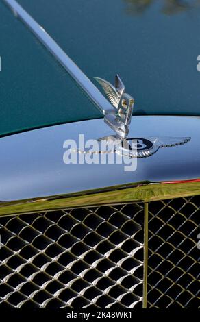 grille de radiateur bentley et mascotte de capot Banque D'Images