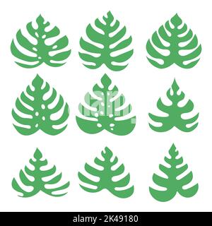 Ensemble de feuilles de Monstera vertes isolées sur fond blanc Illustration de Vecteur