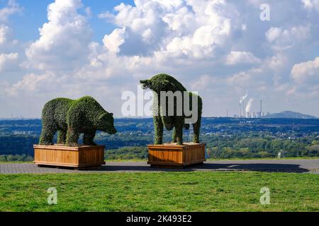 DEU, Deutschland, Nordrhein-Westfalen, Ruhrgebiet, Recklinghausen-Hochlarmark, 29.09.2022: Auf der Halde Hoheward im Emscher-Landschaftspark à Reckli Banque D'Images