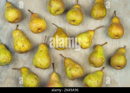 Poires sur fond de bois. Récolte de fruits. L'automne encore la vie. Pear Variety Bera Conference. Nourriture vitaminée. Banque D'Images