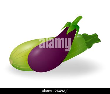 Courgettes et aubergines fraîches. Légumes isolés sur fond blanc. Journée végétalienne. Plats végétariens biologiques. Récolte de légumes. Illustration vectorielle. Illustration de Vecteur