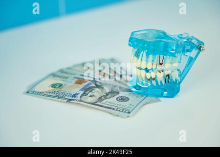 La maquette de mâchoire humaine transparente avec dents se trouve sur les billets de banque Banque D'Images
