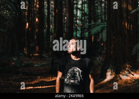 caucasien garçon en t-shirt noir regardant dans la lumière du soleil dans la forêt luxuriante, séquoias treewalk, rotorua, nouvelle-zélande Banque D'Images