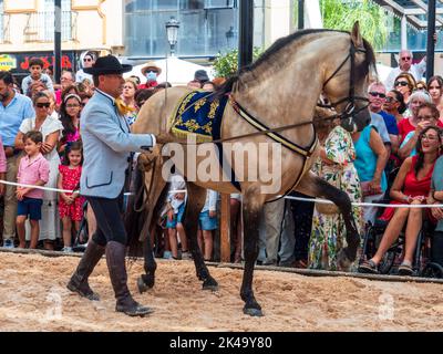 Fuengirola, Malaga, Espagne. 09/17/2022. Exposition de dressage lors de la célébration de la Journée du cheval à Fuengirola. Banque D'Images