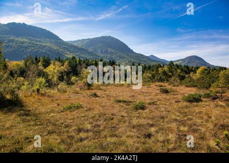 Magnifique haut bog paysage réserve naturelle appelée Kendlmühlfilzen avec des montagnes en arrière-plan en Bavière en Allemagne Banque D'Images