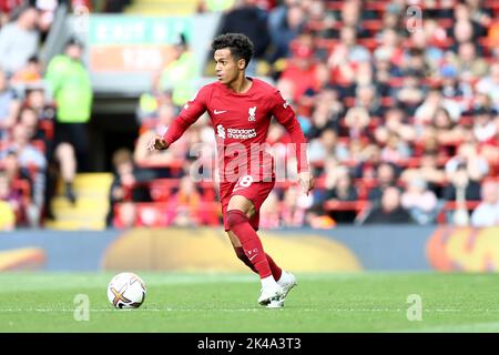 Liverpool, Royaume-Uni. 01st octobre 2022. Fabio Carvalho de Liverpool en action. Match Premier League, Liverpool v Brighton & Hove Albion à Anfield à Liverpool le samedi 1st octobre 2022. Cette image ne peut être utilisée qu'à des fins éditoriales. Utilisation éditoriale uniquement, licence requise pour une utilisation commerciale. Aucune utilisation dans les Paris, les jeux ou les publications d'un seul club/ligue/joueur. photo par Chris Stading/Andrew Orchard sports Photography/Alamy Live News crédit: Andrew Orchard sports Photography/Alamy Live News Banque D'Images