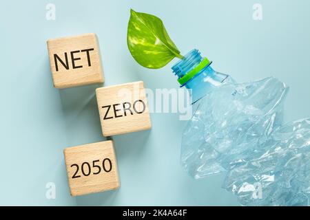 Une bouteille en plastique écrasée avec une jeune feuille verte qui en sort, blocs de bois avec les mots Net Zero 2050, concept environnemental, réduction de gr Banque D'Images