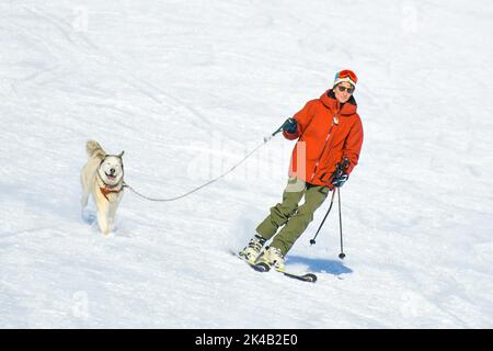 Gudauri, Géorgie - 25th mars 2022 : un homme sur une piste de ski avec un chien de race husky sur une laisse ensemble, amusez-vous sur une destination de vacances d'hiver. Do actif Banque D'Images