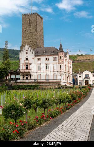 Rudesheim, Hesse, Allemagne. Château Boosenburg. Tour du xiie siècle, du milieu du xixe siècle, la résidence de style néo-gothique. Banque D'Images