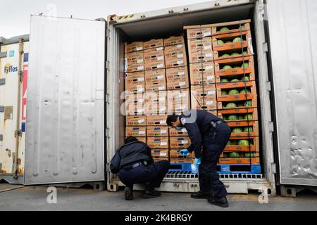 Bureau des douanes et de la protection des frontières des opérations sur le terrain des États-Unis des spécialistes agricoles inspectent les expéditions de fruits arrivant aux terminaux Penn à Eddystone, Pennsylvanie, 16 avril 2020. Photo CBP par Glenn Fawcett Banque D'Images