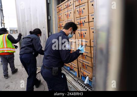 Bureau des douanes et de la protection des frontières des opérations sur le terrain des États-Unis des spécialistes agricoles inspectent les expéditions de fruits arrivant aux terminaux Penn à Eddystone, Pennsylvanie, 16 avril 2020. Photo CBP par Glenn Fawcett Banque D'Images