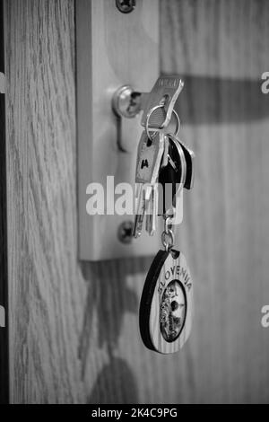 Un cliché vertical en niveaux de gris d'un tas de clés de la maison dans un casier de porte avec un porte-clés de Slovénie Banque D'Images