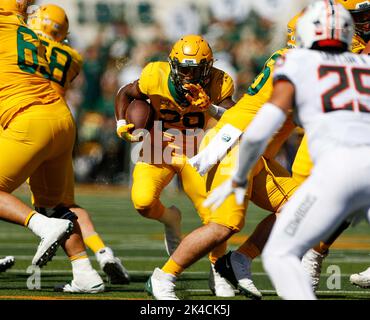 1 octobre 2022: Baylor en arrière Richard Reese (29) porte le ballon lors d'un match de football universitaire NCAA entre Baylor et l'État d'Oklahoma le 1 octobre 2022, à Waco, Texas. L'État d'Oklahoma a gagné 36-25. (Image de crédit : © Scott Coleman/ZUMA Press Wire) Banque D'Images