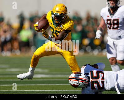 1 octobre 2022: Baylor en arrière Richard Reese (29) porte le ballon lors d'un match de football universitaire NCAA entre Baylor et l'État d'Oklahoma le 1 octobre 2022, à Waco, Texas. L'État d'Oklahoma a gagné 36-25. (Image de crédit : © Scott Coleman/ZUMA Press Wire) Banque D'Images