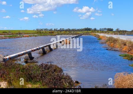 Conduite d'eau sur des peuplements traversant le lac salé, Wongan Hills, Australie occidentale Banque D'Images