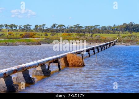 Conduite d'eau sur des peuplements traversant le lac salé, Wongan Hills, Australie occidentale Banque D'Images