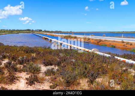 Conduite d'eau sur des peuplements traversant le lac salé, Wongan Hills, Australie occidentale Banque D'Images