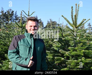 Zernitz Lohm, Allemagne. 30th septembre 2022. Christian Mai marche à travers un abri de la ferme de sapins de Werder près de Plötzin, qui sont libérés pour l'auto-abattage cette année. L'année dernière, environ 10000 arbres ont été coupés ici. En cela, la société continue de garantir les prix de l'année précédente. (À dpa 'dans la crise préfèrent les bougies? Préparation pour la saison des arbres de Noël) crédit: Bernd Settnik/dpa/Alay Live News Banque D'Images