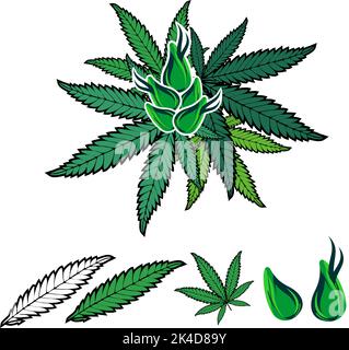 feuille et fleur de marijuana verte Illustration de Vecteur