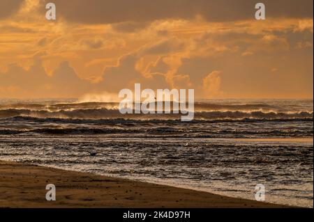 Le ruisseau waitohu s'écoule dans la mer de tasman au nord d'Otaki. En fin d'après-midi soleil, pas de gens. Les nuages se profilent à l'horizon et un seul mouette vole Banque D'Images