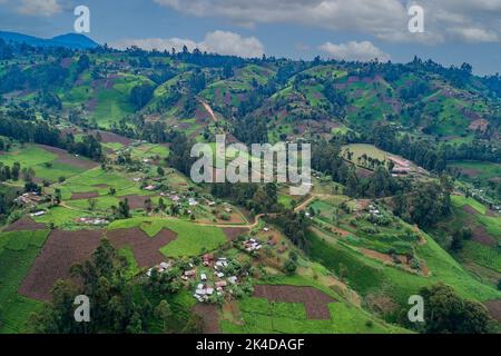 Une vue aérienne des magnifiques paysages de vallées couvertes de thé au bord de la montagne, Kenya Banque D'Images