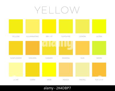 Nuances de couleur jaune Nuancier Illustration de Vecteur