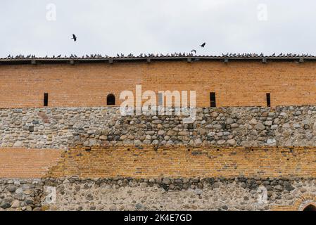 Lida, Bélarus. Avril 2022. Pigeons sur le mur du château de Leeds Banque D'Images