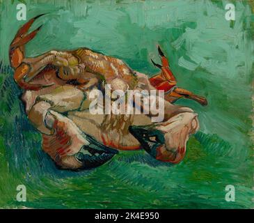 Crabe sur son dos, Vincent Van Gogh Date : Arles 1889 Banque D'Images