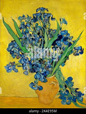 Iris, Vincent Van Gogh Date1890 Banque D'Images