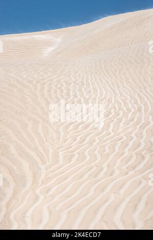 Des dunes de sucre blanches aveuglantes près d'al-Khalif, Oman Banque D'Images