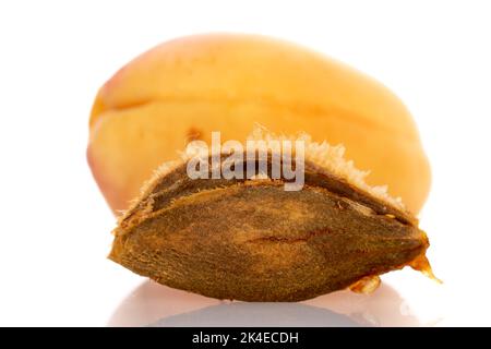 Un abricot d'ananas mûr et un noyau d'abricot, macro, isolés sur du blanc. Banque D'Images