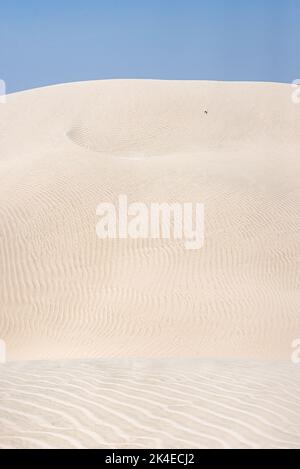 Des dunes de sucre blanches aveuglantes près d'al-Khalif, Oman Banque D'Images