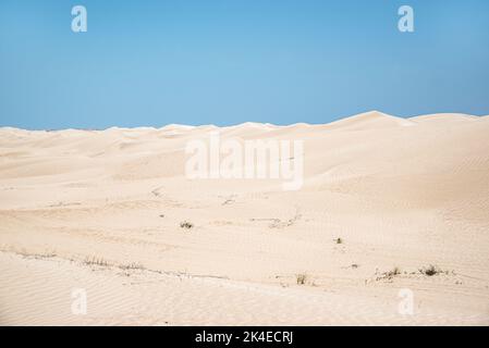 Des dunes de sucre blanches aveuglantes près d'al-Khalif, Oman Banque D'Images