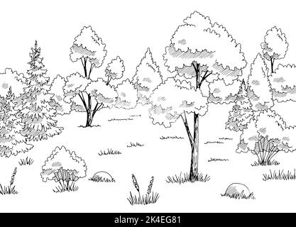 Motif de glade forêt noir blanc paysage dessin vecteur d'illustration Illustration de Vecteur