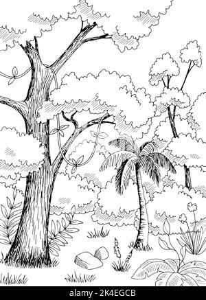 Jungle pluie forêt graphique noir blanc paysage vertical esquisse vecteur d'illustration Illustration de Vecteur