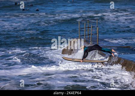 Bude, Royaume-Uni, 2nd octobre 2022. Les surfeurs locaux sautent dans l'eau à Bude, Cornwall. Crédit : Steven Paston/Alay Live News Banque D'Images