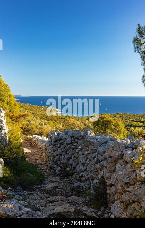 Sentier de randonnée bordé de murs en pierre sur l'île de Losinj en Croatie Banque D'Images