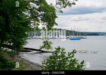 Vue panoramique avec des bateaux à voile reposant sur le lac Starnberg ou Starnberger See entouré d'arbres verts à Bernried, lors d'une journée ensoleillée en mai, Bavière, GE Banque D'Images
