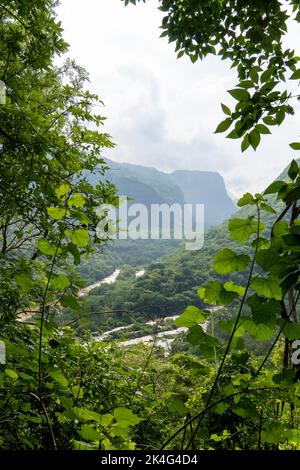 arbres qui encadrent des montagnes, canyon huentitan à guadalajara, montagnes et arbres, végétation verte et ciel avec nuages, mexique Banque D'Images