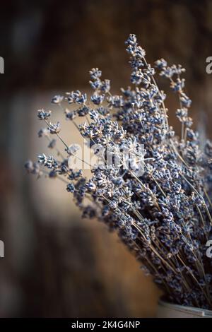 Fleurs de lavande séchées dans un vase, fond flou. Banque D'Images
